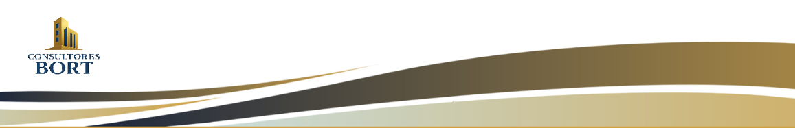Cabecera BORT Consultores